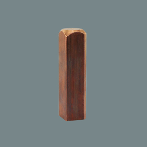 Hình vuông 15 trục điện cực 3A-300077