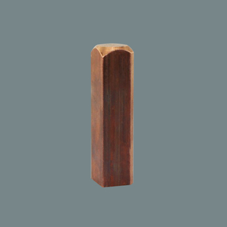 Square 15 electrode shaft 3A-300077