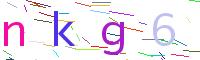 Verify Code