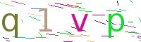codice di verifica
