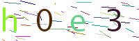 Verify Code