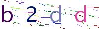 Verify Code