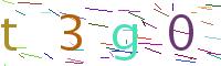 Verify Code