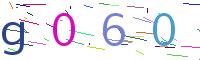 Verify Code