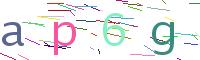 Verify Code