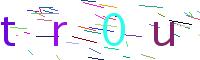Verify Code
