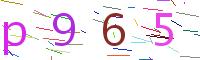 Verify Code