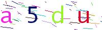 Verify Code