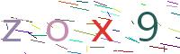 Verify Code