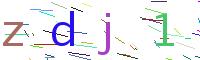 Verify Code