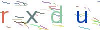Verify Code