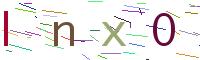 Verify Code