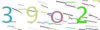 Verify Code