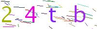 Verify Code