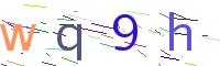Verify Code