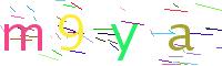 Verify Code