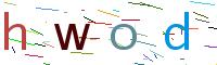 Verify Code
