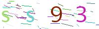 Verify Code
