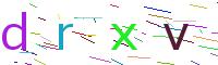 Verify Code