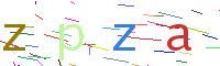 Verify Code
