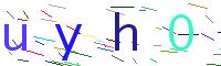 Verify Code