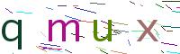 Verify Code