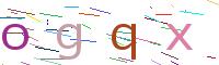 Verify Code