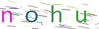 Verify Code
