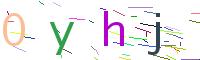 Verify Code