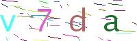 Verify Code