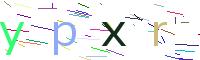 Verify Code