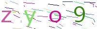 Verify Code