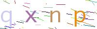 Verify Code