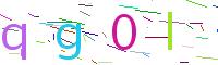 Verify Code