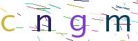 Verify Code