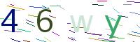 Verify Code