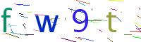 Verify Code