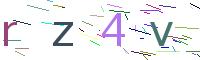 Verify Code