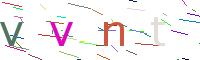 Verify Code
