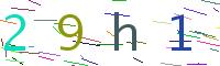 Verify Code