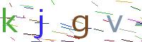 Verify Code