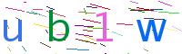 Verify Code
