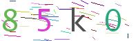 Verify Code