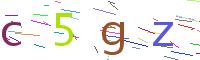 Verify Code