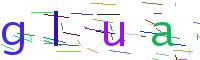 Verify Code