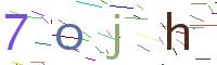 Verify Code