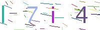 Verify Code