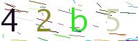 Verify Code