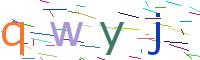 Verify Code