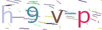 Verify Code